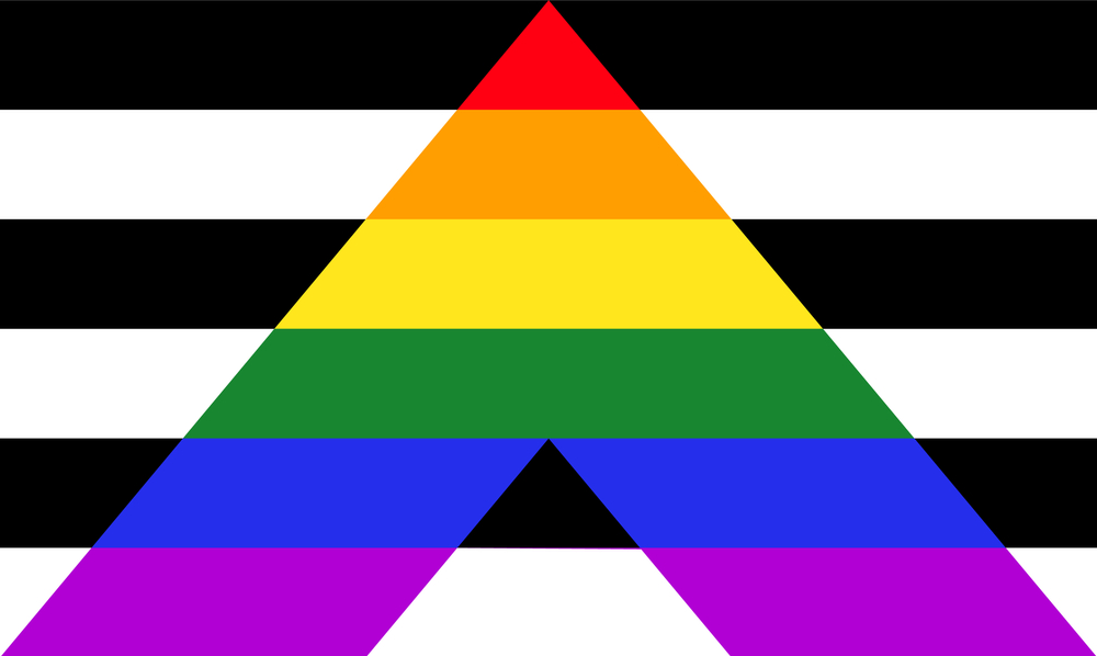 bandiere LGBTQIA+ significato guida, bandiere LGBTQIA+ significato, LGBTQIA+ guida